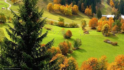 Peisaje de Toamna...(Autumn landscapes...) - YouTube