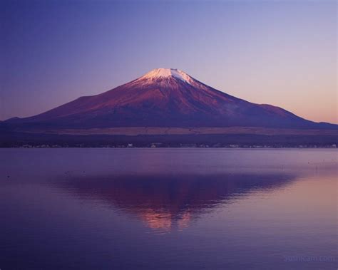 Purple Fuji - Japan Today