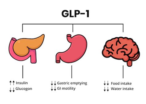 Anti-obesity drugs are closing the gap between dieting and bariatric ...