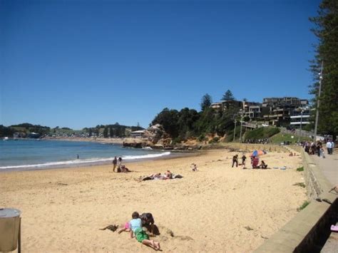 Terrigal Beach NSW, Australia: things to see and do