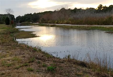 Central Florida Conservation Areas Archives - Florida Hiking Trails