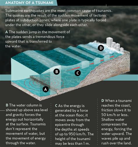 How Tsunamis Are Formed - Model United Nations