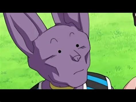 Lord Beerus All Funny Moments Compilation!!(DBZ) - YouTube