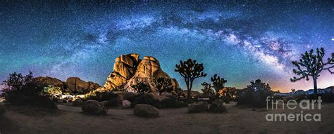 Joshua Tree Milkyway Photograph by Robert Loe