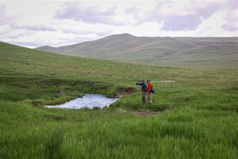 Full-Day Montana Private Water Fly-Fishing Trip