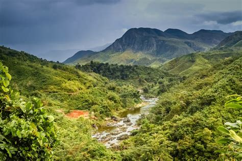 Traveleze: 2 Thrilling Reasons to explore the biodiversity in Madagascar