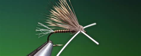 Tying the X-Factor Caddis Fishing Knots, Fly Fishing, Fly Lady Cleaning, Polarized Fishing ...
