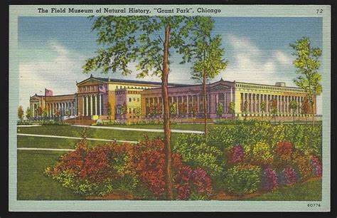 FIELD MUSEUM OF NATURAL HISTORY, GRANT PARK, CHICAGO, ILLINOIS, Postcard | Grant park, Field ...