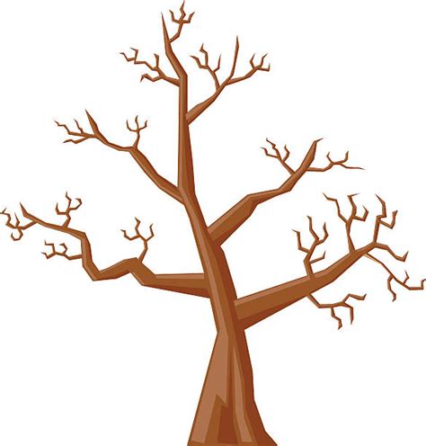 Cartoon Tree Trunk Images ~ Tree Cartoon Trunk Stump | Bodbocwasuon