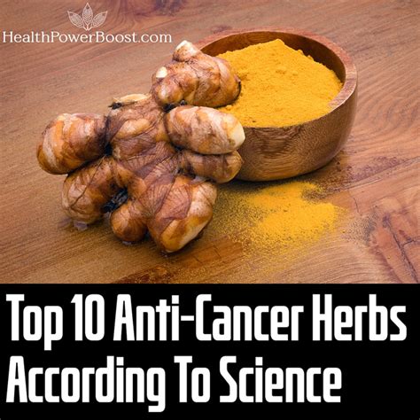 10 Of The Best Anti-Cancer Herbs According To Science - Detailed Free Guide With 40+ Scientific ...