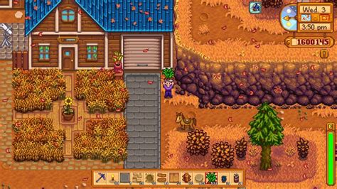 robin's house | Stardew valley layout, Stardew valley farms, Stardew valley