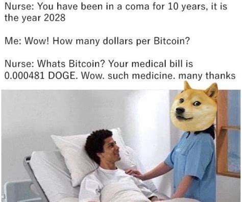 Dogecoin: the top 10 memes of 2020 - The Cryptonomist