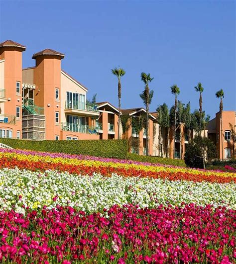 Photo Gallery of Carlsbad Hotel | Grand Pacific Palisades Resort