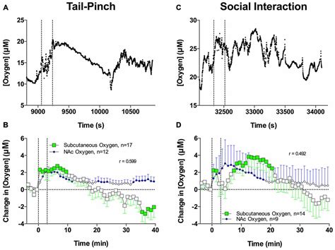 Frontiers | Rapid Physiological Fluctuations in Nucleus Accumbens Oxygen Levels Induced by ...