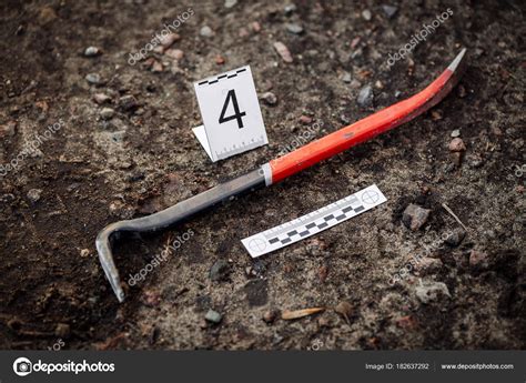 Crime Scene Investigation Collecting Evidence Stock Photo by ...