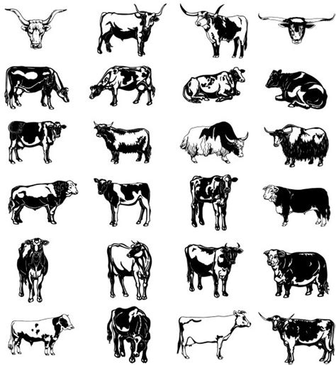 Black and white picture series of a painted cow vector vector Free ...