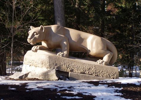 MDK10 Outside: Mountain Lions in Connecticut?