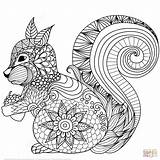 Animal Mandala Coloring Pages At GetDrawings  Free Download sketch template