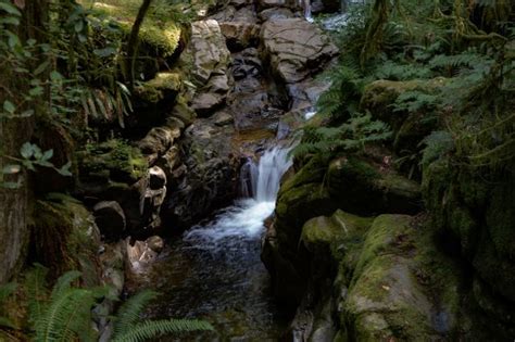 Cypress Falls Photo | Hiking Photo Contest | Vancouver Trails