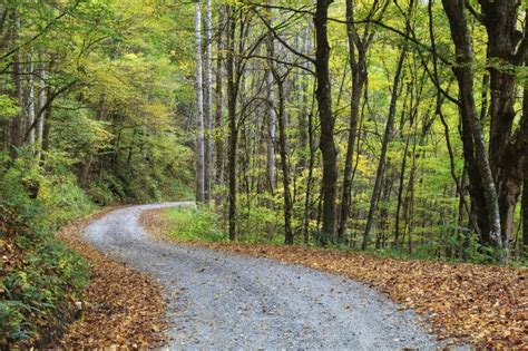 Workshop on gravel road problems in Boothbay Aug. 4 | Wiscasset Newspaper