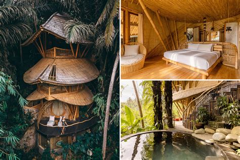 Treehouse in the Bali jungle hits the market for just $335