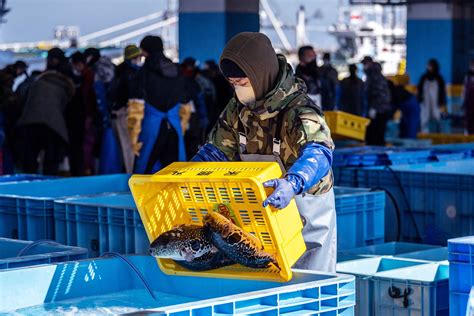 Fish Caught Near Fukushima Exceeds Limit of Radioactive Cesium by 180 ...