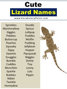 350+ Top Lizard Names (Best, Cute, Funny And Pet) - Vocabulary Point