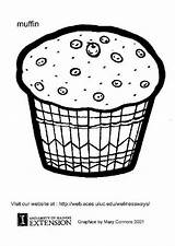 Muffins Coloring Page  Home sketch template