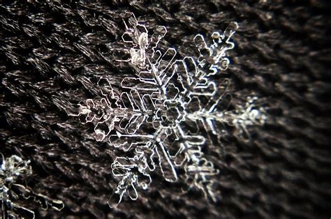 iPhone + $5 Macro Lens = Awesome Snowflake Shots | WIRED