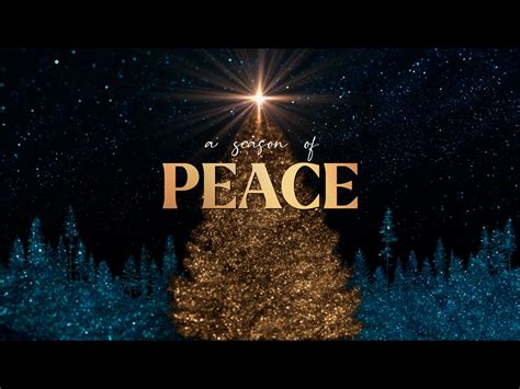 Sparkling Christmas Peace | Life Scribe Media | WorshipHouse Media