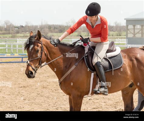 Woman patting her horse while astride in ehglish riding equipment and ...