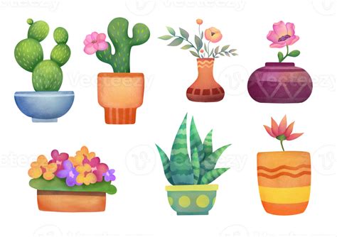 collection of indoor plants, Cacti, succulents and flowers in bright clay pots. Watercolor set ...