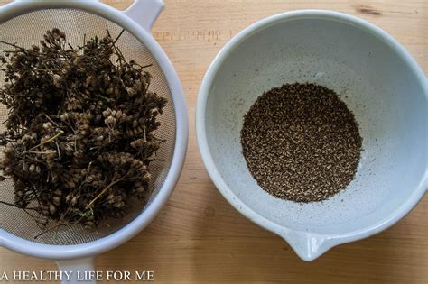 Yarrow seeds from dried flower heads - A Healthy Life For Me