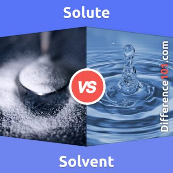 Solute vs. Solvent: 5 Key Differences, Pros & Cons, Examples ...