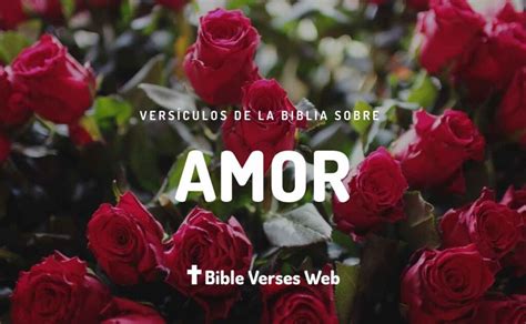 39 Versículos de Amor en la Biblia | Reina Valera