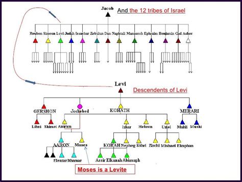 THE DESCENDANTS OF LEVI - STUDY 6- BEAUTIES OF THE TABERNACLE - BIBLE ...