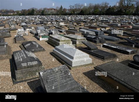 Golder’s green cemetery hi-res stock photography and images - Alamy