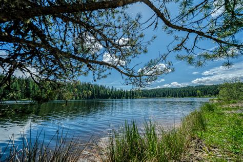 Lakeside Camping Site – Elk River Idaho Recreation District