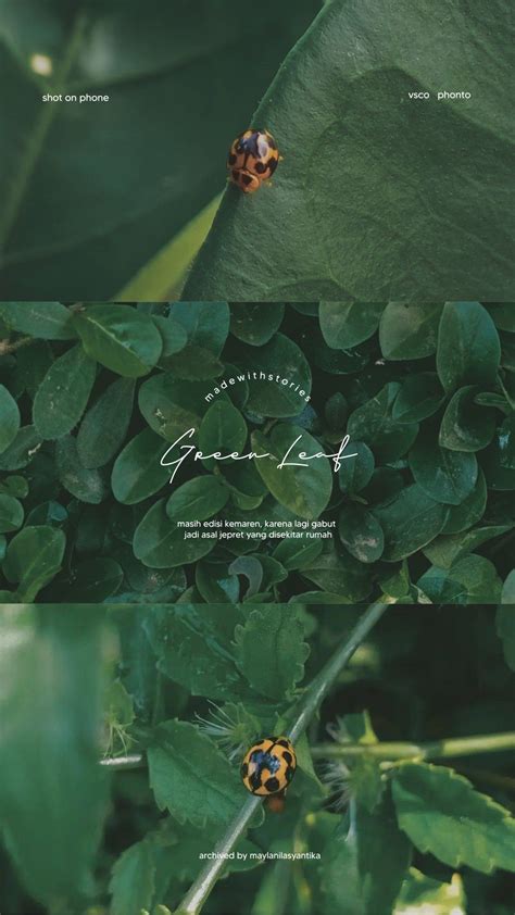 Typography nature | Fotografi alam, Fotografi abstrak, Inspirasi instagram