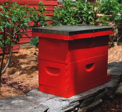 The evolution of the beehive - FineGardening