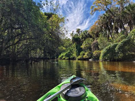 Kayaking down the Little Manatee River : r/florida