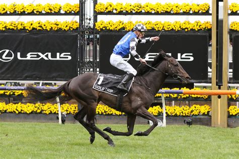 Melbourne Cup Field, Horses, Odds & Barriers – 2023