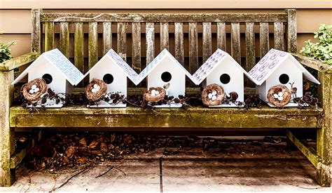 House Sparrow/Starling Bird House | Felt