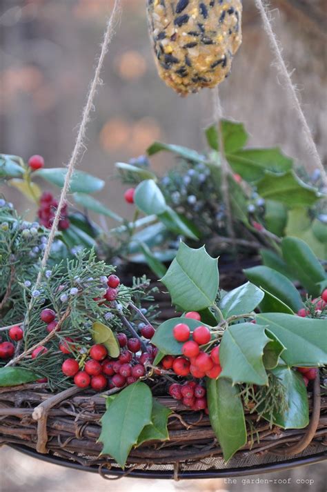 Rebecca's Bird Gardens Blog: DIY Winter Wreath Bird-Feeder