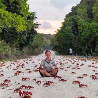 Discover | Christmas Island National Park