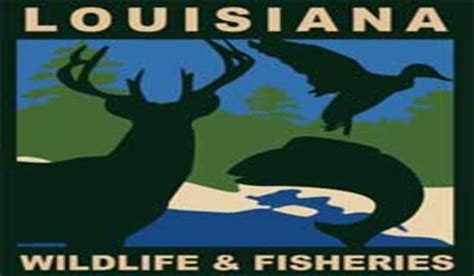 Louisiana DWF Reopens Elm Hall WMA | OutdoorHub