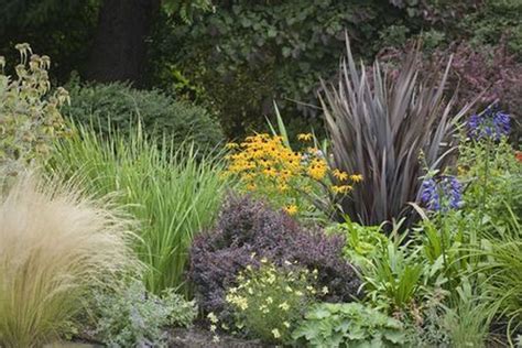 The Best Ornamental Grasses Landscape For Beautiful Garden - MagzHome ...