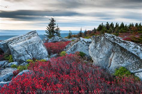 Bear Rocks Preserve Dolly Sods Wilderness | Giant Boulders A… | Flickr