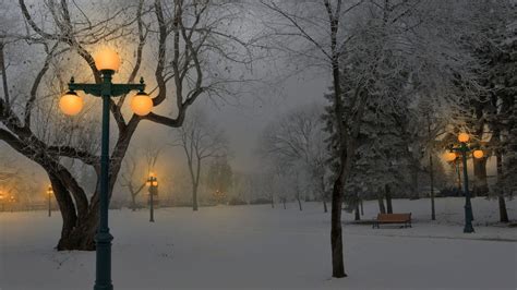 Foggy Winter Night In A Park HD Desktop Background wallpaper free ...