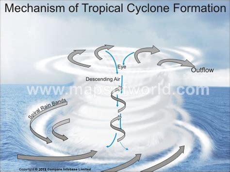 Tropical Cyclone Formation Mechanism